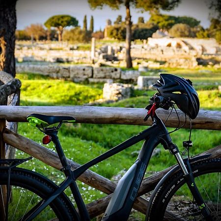 Villa Claudianna Bed & Bike Paestum Extérieur photo