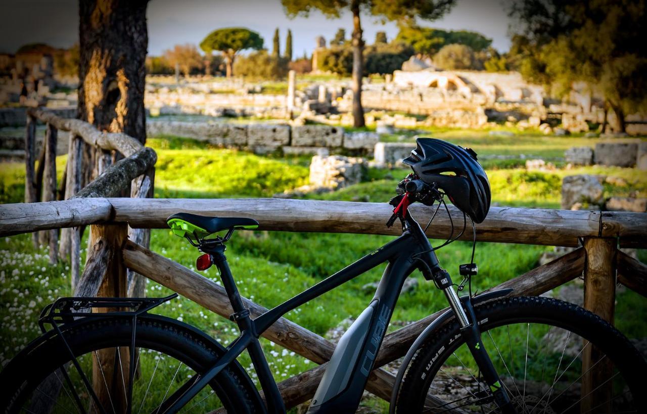 Villa Claudianna Bed & Bike Paestum Extérieur photo